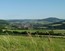/photo/subarea/46_Taunus VIVALDI Travel.nl (21) - kopie.jpg